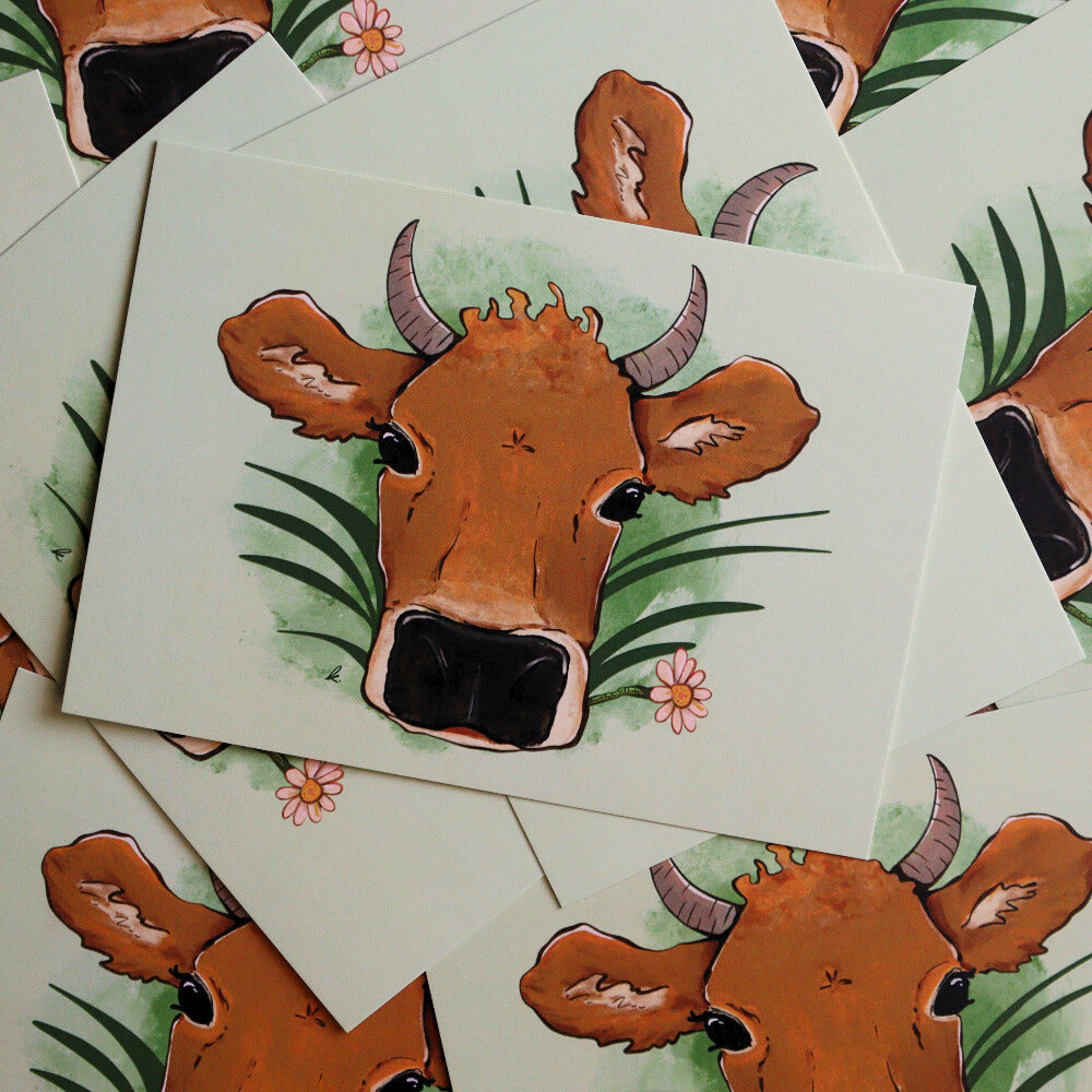 Animal Postcards